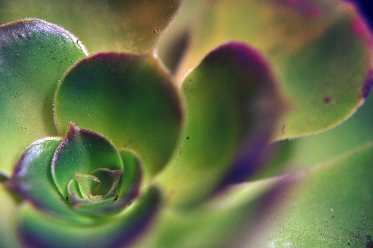 How to Support Green Initiatives in Your Community?